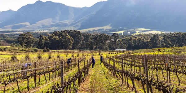 spookfontein's terrific terroir