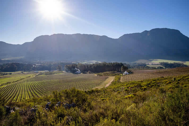 Hemel en Aarde Valley Self-Catering Accommodation